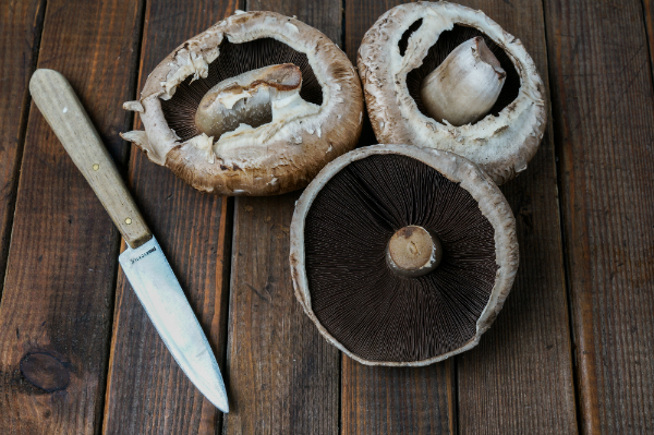 Portobellos eignen sich ideal als fleischloses Ersatz-Patty für Burger